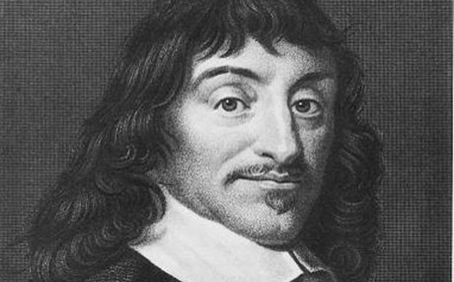 imagen de El error de Descartes