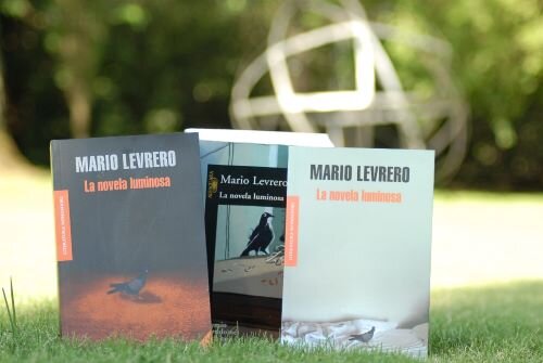 imagen de Apuntes para una lectura de Mario Levrero