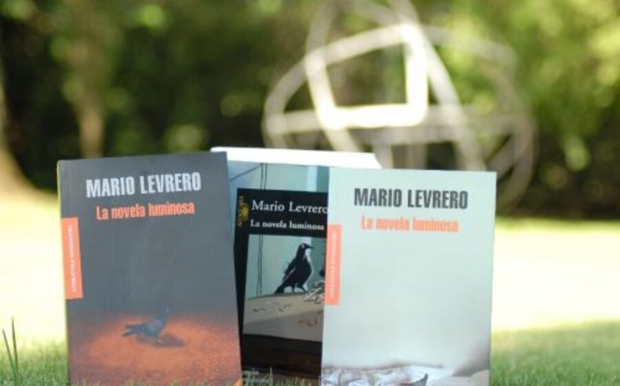 imagen de Apuntes para una lectura de Mario Levrero