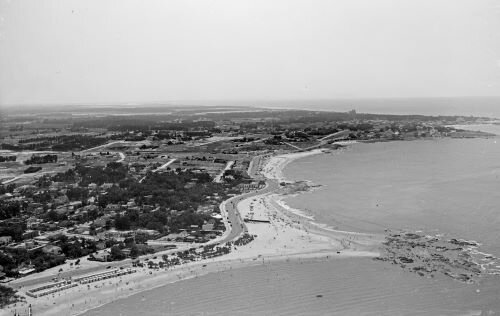 imagen de La rambla de Montevideo, un fenómeno del siglo XX que mantiene su encanto