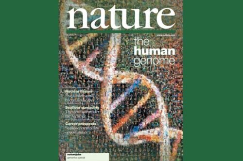 imagen de ¿Cómo funciona la ciencia profesional? (parte I)