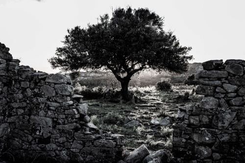 imagen de Muestra 30 aniversario de Aquelarre – Escuela de Fotografía, hasta el 29 de octubre en el Museo Torres García