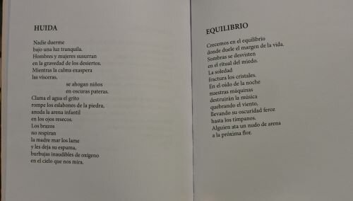 imagen de “Sombras a plena luz”, de Nedy Varela