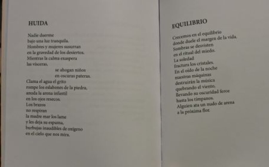 imagen de “Sombras a plena luz”, de Nedy Varela