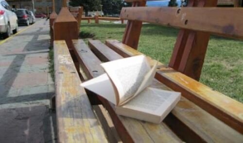imagen de La suelta de libros