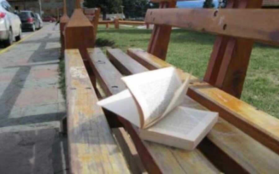 imagen de La suelta de libros