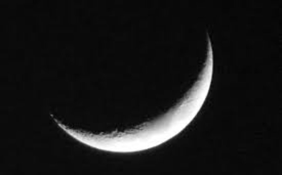 imagen de “Luna nueva” y “La bestia”, dos cuentos breves de la escritora Lilián Hirigoyen