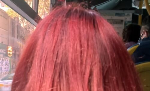 imagen de A contrapelo