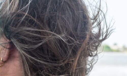 imagen de Let it be