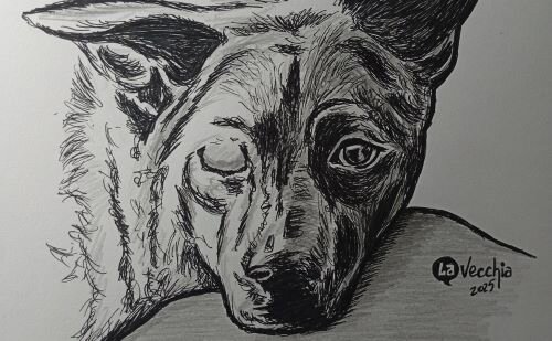 imagen de El perro tuerto (*) – El aire es melaza de nuestros pulmones