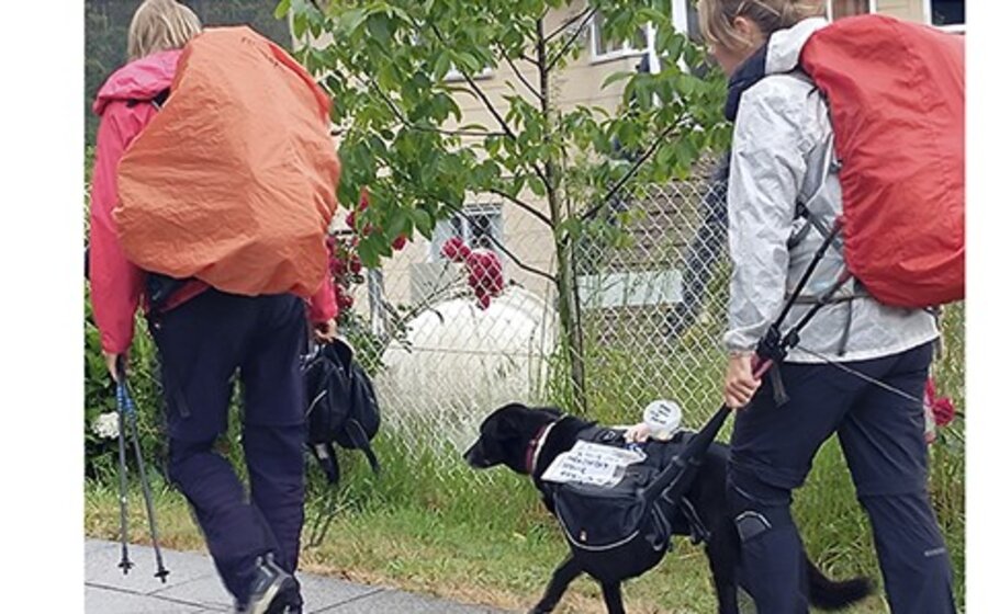 imagen de El camino de Santiago, un viaje a la memoria