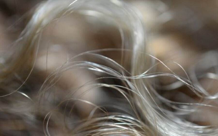 imagen de Ondas cómplices