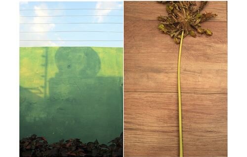 imagen de Mirás el horizonte