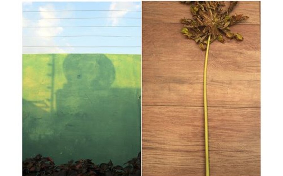 imagen de Mirás el horizonte