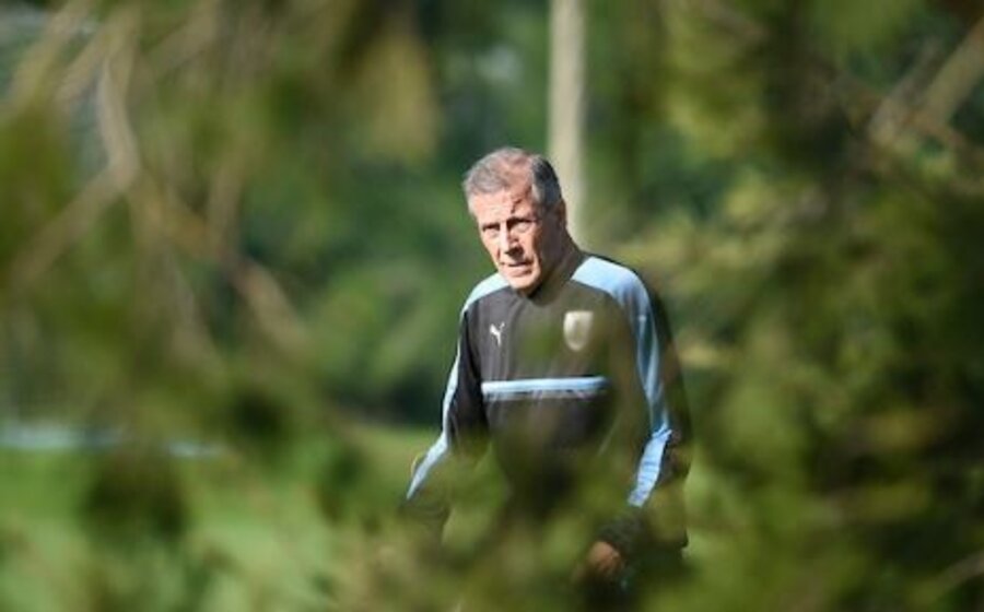 imagen de Entrenadores y docentes: desafíos en un contexto complejo