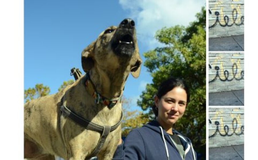 imagen de “Perros del mundo uníos”, nuevo libro de nuestro colaborador Alejandro Vásquez Escalona