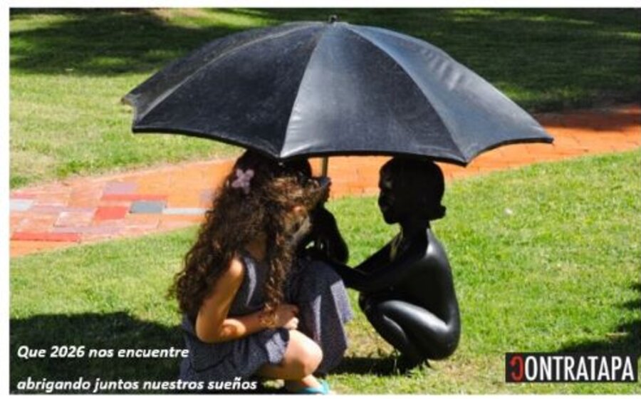 imagen de Un año que se va y otro que bosteza