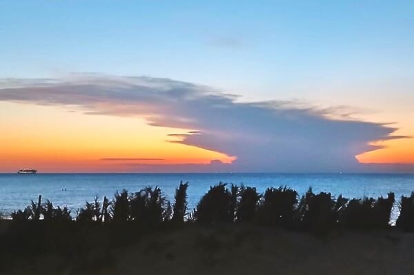 imagen de TEXTOGRAFÍAS (*) El yunque de la noche