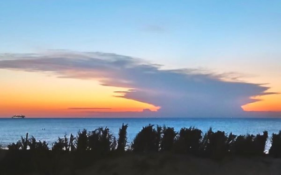 imagen de TEXTOGRAFÍAS (*) El yunque de la noche