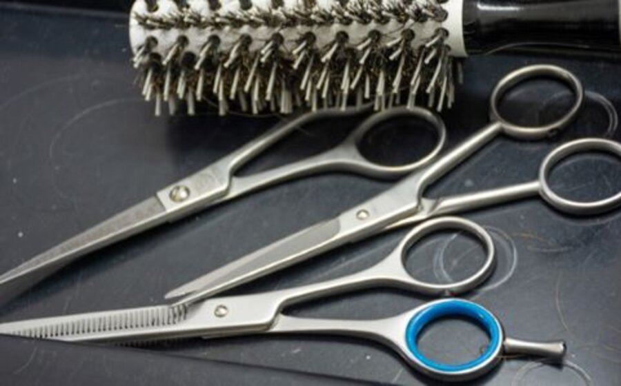 imagen de Pasaporte al cambio