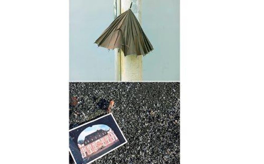 imagen de Después del Terremoto