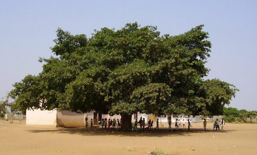 imagen de El cuento africano que cobija la mulemba